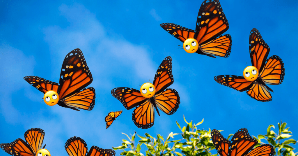 Butterflies and other trite Symbols of Spiritual&nbsp;Transformation